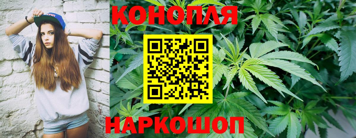 Бошки Шишки ГИДРОПОН Сосновый Бор